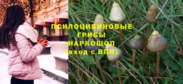 молекула духа Алексин