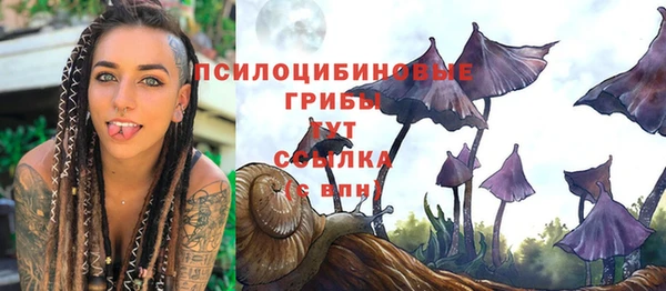 молекула духа Алексин