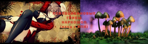 молекула духа Алексин