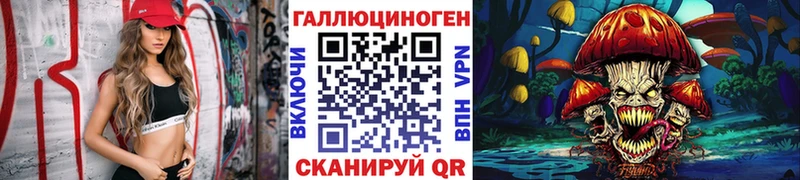 Галлюциногенные грибы Magic Shrooms  Купить где  Сертолово 